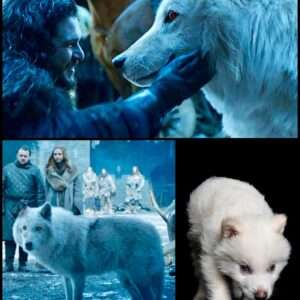 The Dire Wolf Is Back from Extinction