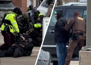 Dozens Arrested as Anti-ICE Protests Erupt Outside Whipple Building